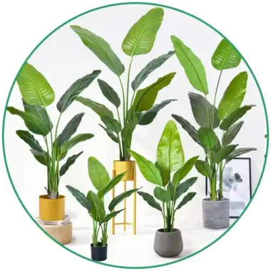 Interior Decor Pieces